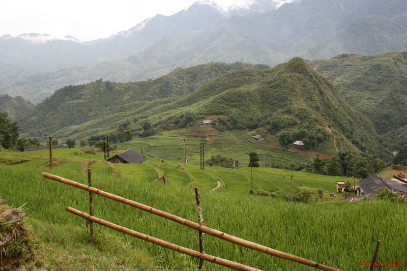 VietNam 20080728 146  